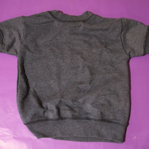 Short Sleeve Sweatshirt 4T - Picture 1 of 2
